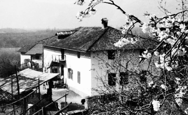 Piock-Elena Repros-PR8_6227-Elena, Piock