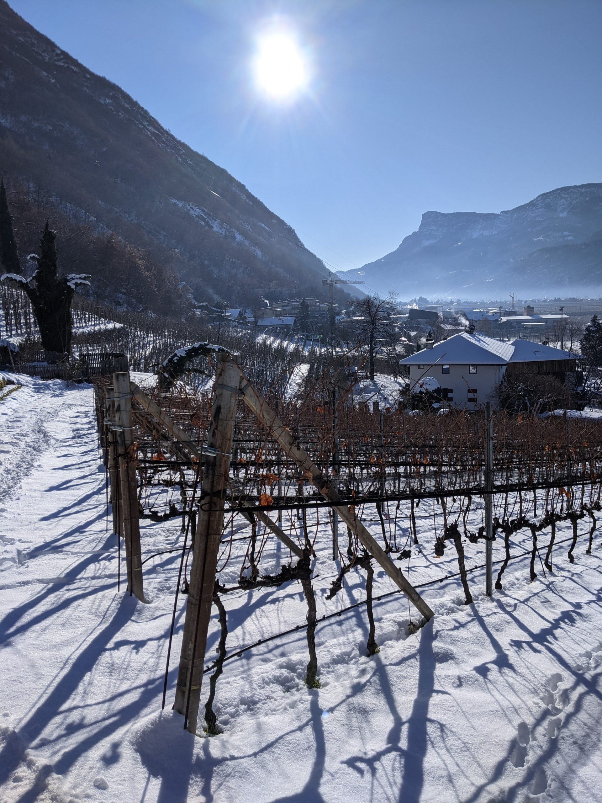 PXL_20201231_101219592 (1)