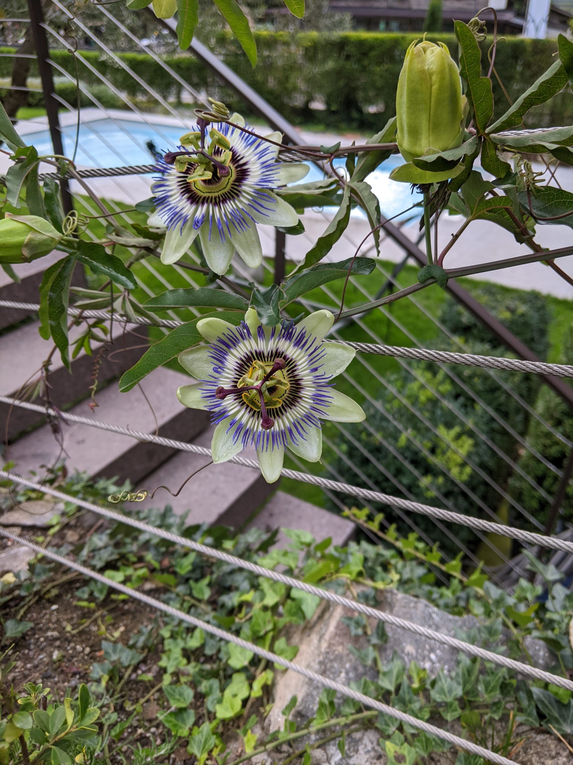 PXL_20220925_151227942.MP