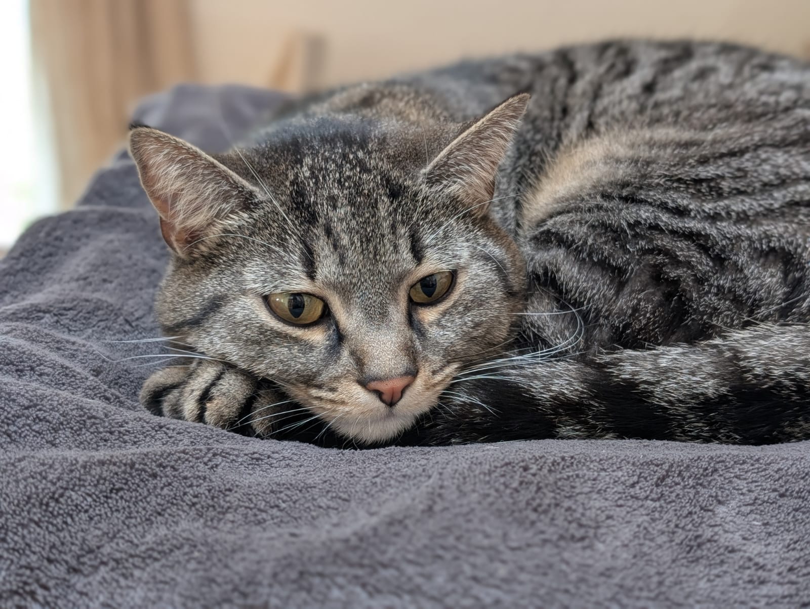 f9a7a1a6-4146-4442-9254-38dca79d21b7